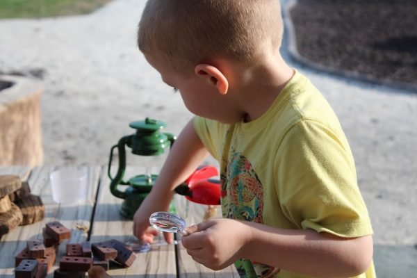 early-stem-education