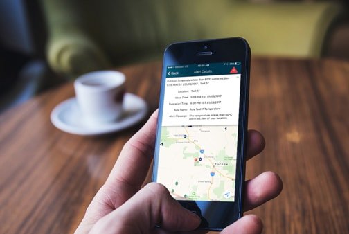 A person holding a cell phone showing Sferic Mobile, our mobile weather alerts, in action