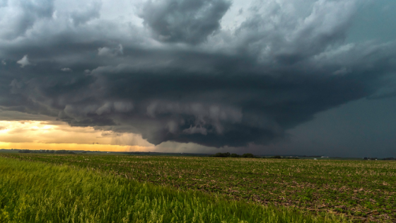 A tornado forming oview a field