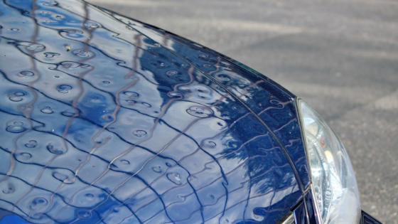 A blue car hood with ping pong ball sized dents in it from hail