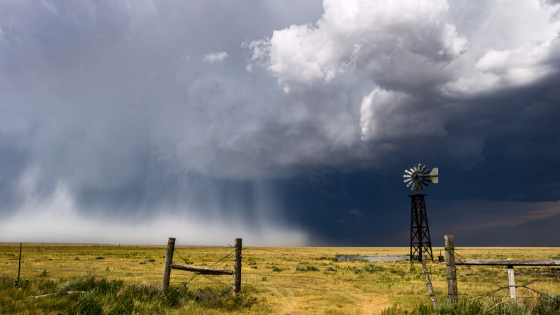 hail falling at a farm to show that hail can have a large impact on crops and agriculture
