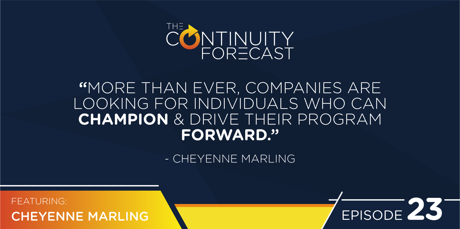 More than ever, companies are looking for individuals who can champion and drive the program forward