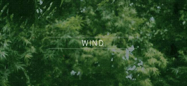 Wind gif with blowing trees