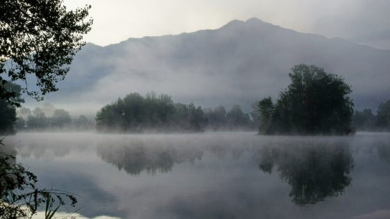 fog over a lake