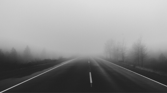 A foggy toad with low visibility