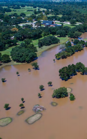 Flooded neighborhood