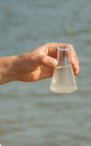 A hand holding a beaker of water to be tested