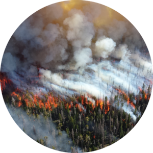 wildfires