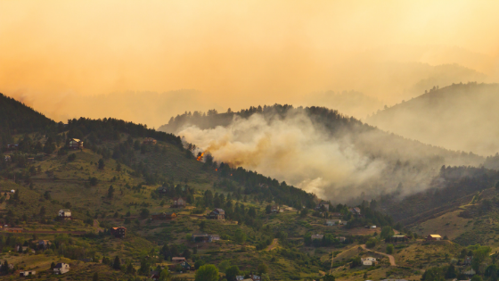 Wildfires burning in a hilly neighborhood