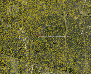Representation of the cloud-to-ground lightning strikes that hit Plantation Preserve